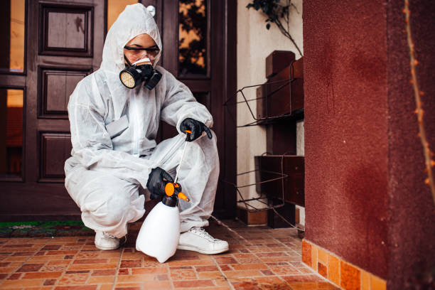 Reliable Wasp Removal contractor in Richfield, OH by Show Me Pest Control